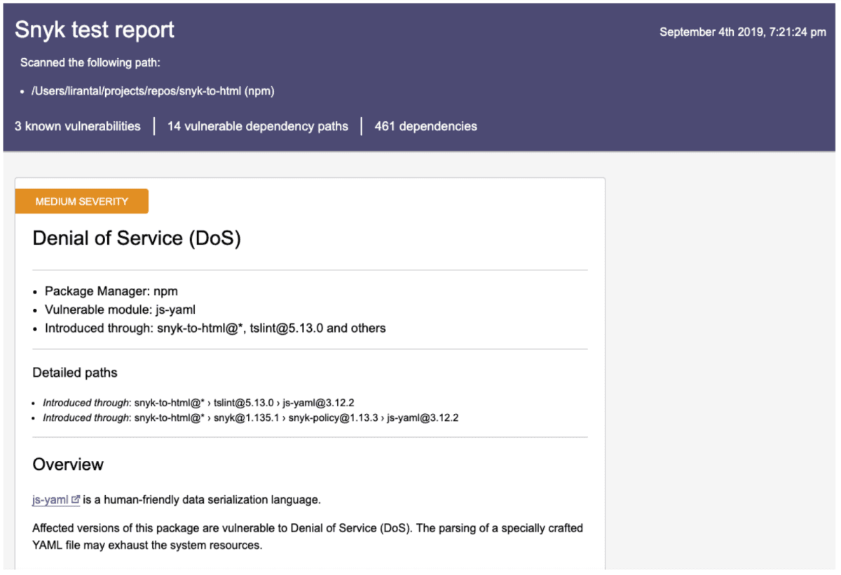 Snyk-test-report