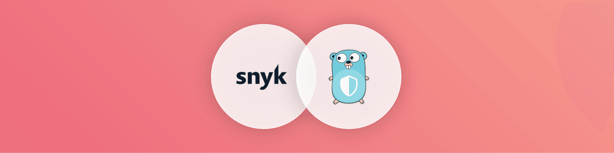 wordpress-sync/snykgo_header_image