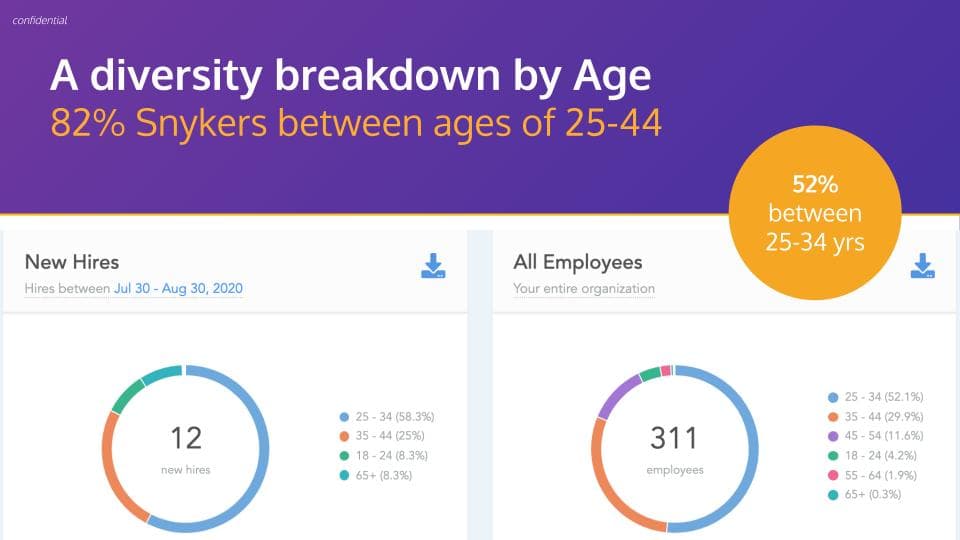 wordpress-sync/blog-diversity-age-snyk