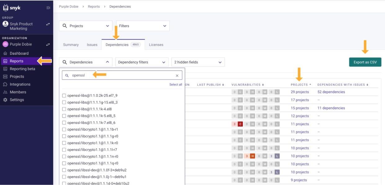 blog-lessons-openssl-snyk-reporting