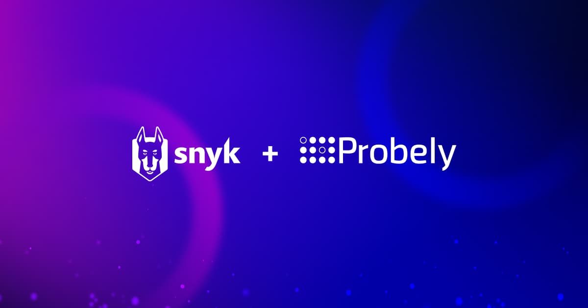 Snyk_Probely